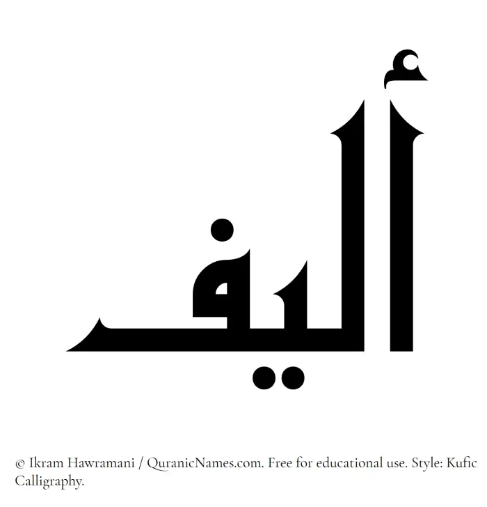 The Muslim name Aleef written in Kufi/Kufic calligraphic script