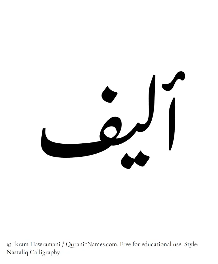 The Muslim name word Aleef written in Nastaliq calligraphic script