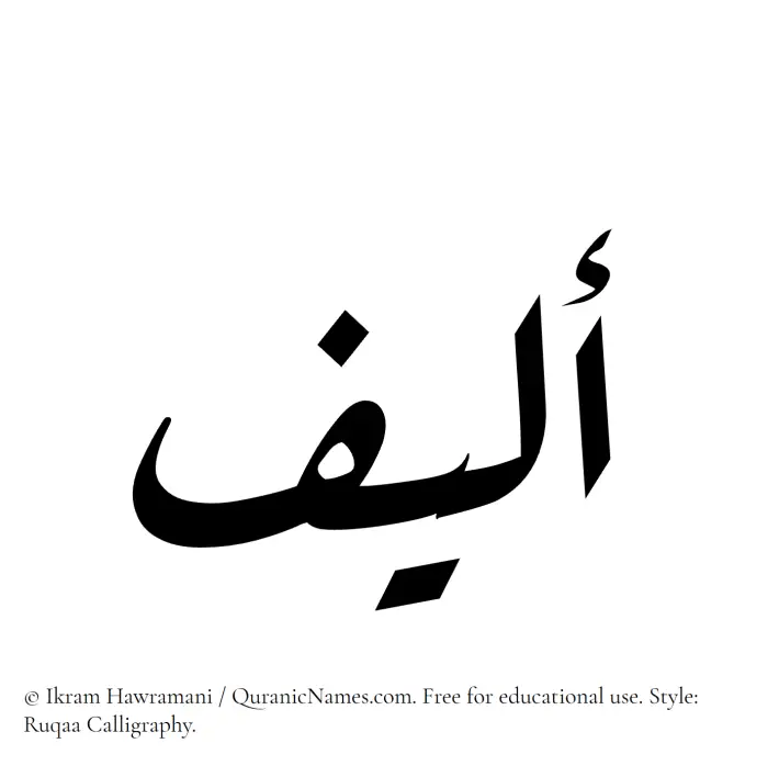 The Muslim name Aleef written in Ruqaa calligraphic script