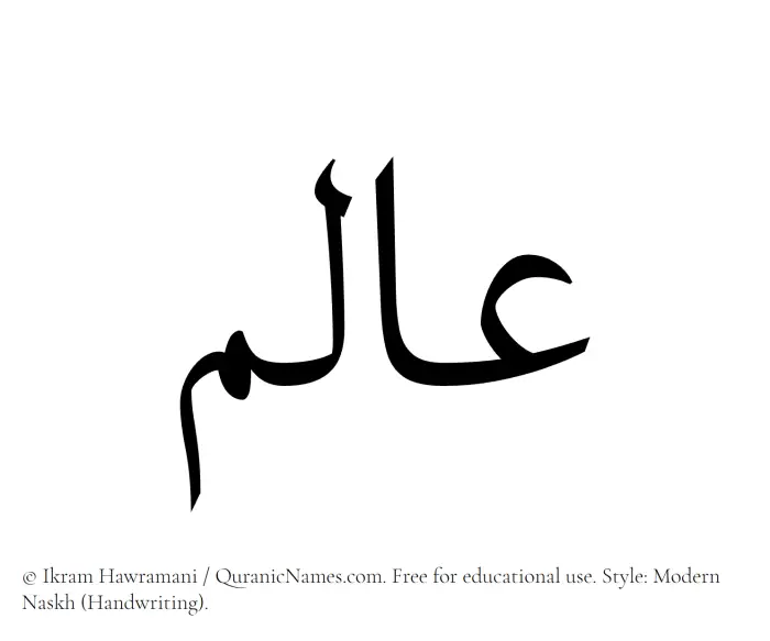 The Muslim name Alim written in naskh script