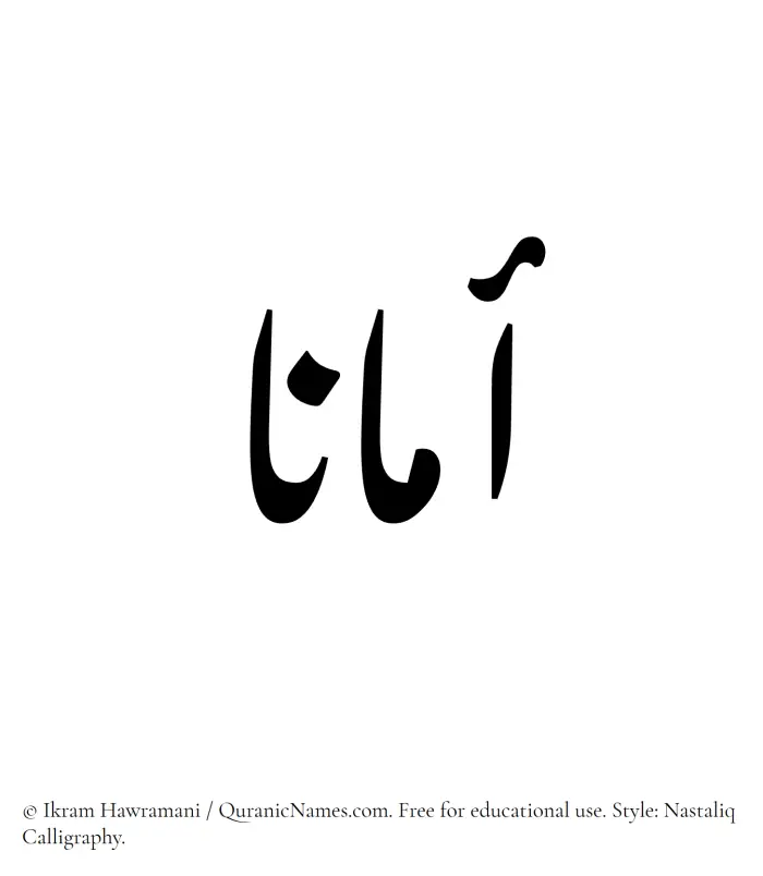 The Muslim name word Amana written in Nastaliq calligraphic script