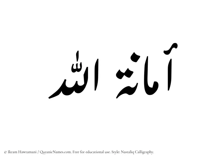 The Muslim name word Amanatullah written in Nastaliq calligraphic script