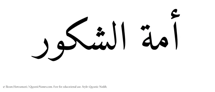 The Muslim name Amatul Shakoor written in Quranic naskh script