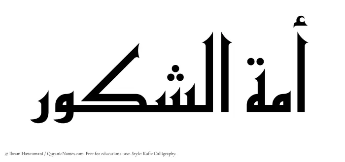 The Muslim name Amatul Shakoor written in Kufi/Kufic calligraphic script