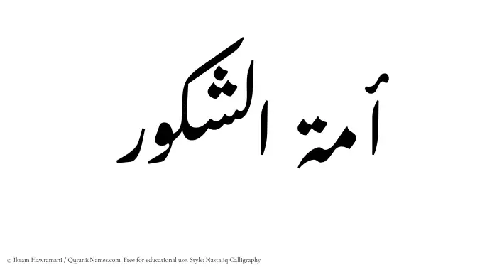 The Muslim name word Amatul Shakoor written in Nastaliq calligraphic script