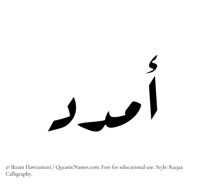 The Muslim name Amdad written in Ruqaa calligraphic script