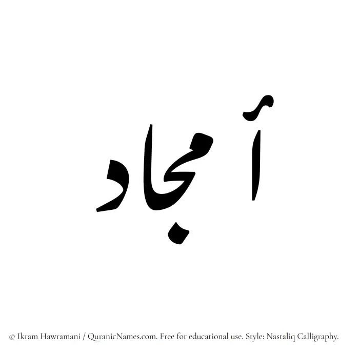 The Muslim name word Amjaad written in Nastaliq calligraphic script