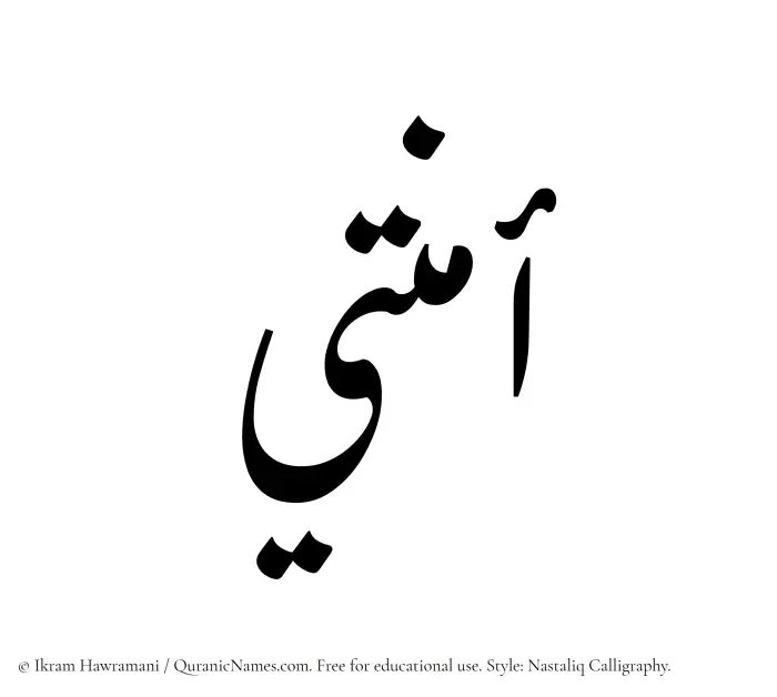 The Muslim name word Amnati written in Nastaliq calligraphic script