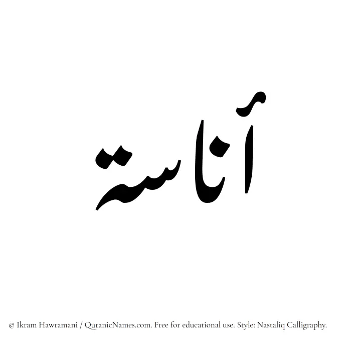 The Muslim name word Anasa written in Nastaliq calligraphic script