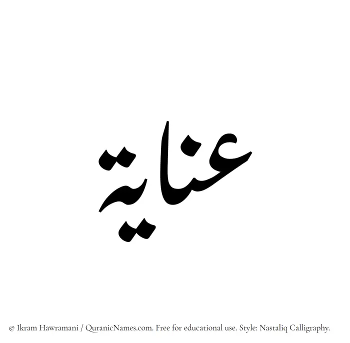The Muslim name word Anaya written in Nastaliq calligraphic script