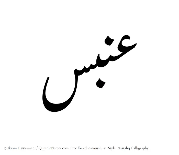 The Muslim name word Anbas written in Nastaliq calligraphic script