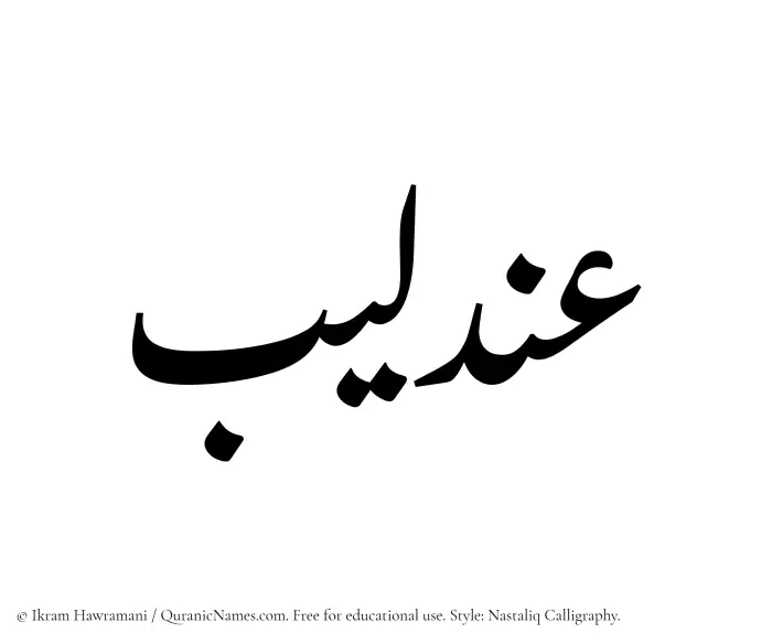 The Muslim name word Andaleeb written in Nastaliq calligraphic script