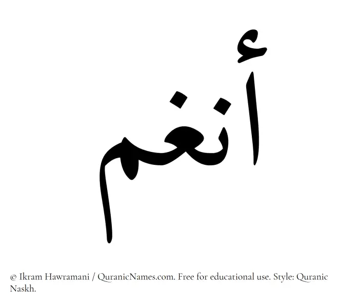 The Muslim name Anghum written in Quranic naskh script