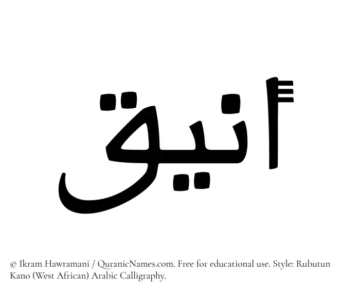 The Muslim name Aniq written in Rubutun Kano calligraphic script