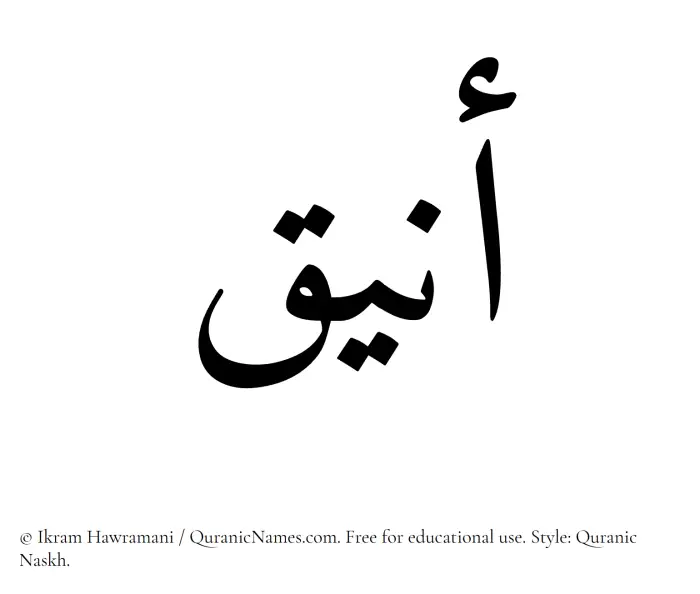 The Muslim name Aniq written in Quranic naskh script