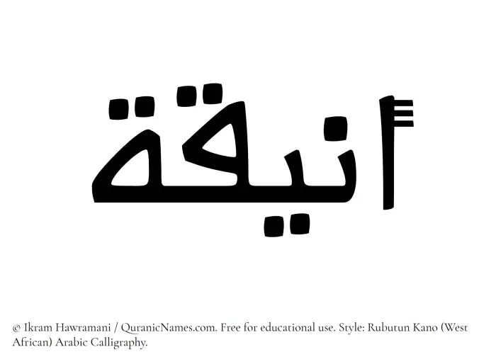 The Muslim name Aniqah written in Rubutun Kano calligraphic script