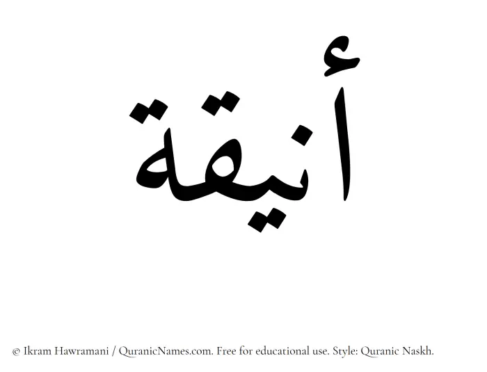 The Muslim name Aniqah written in Quranic naskh script