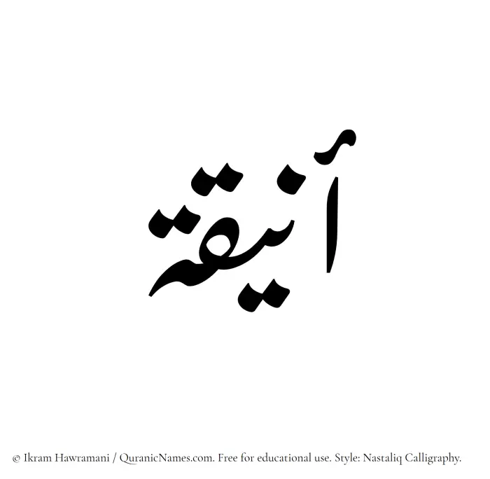 The Muslim name word Aniqah written in Nastaliq calligraphic script