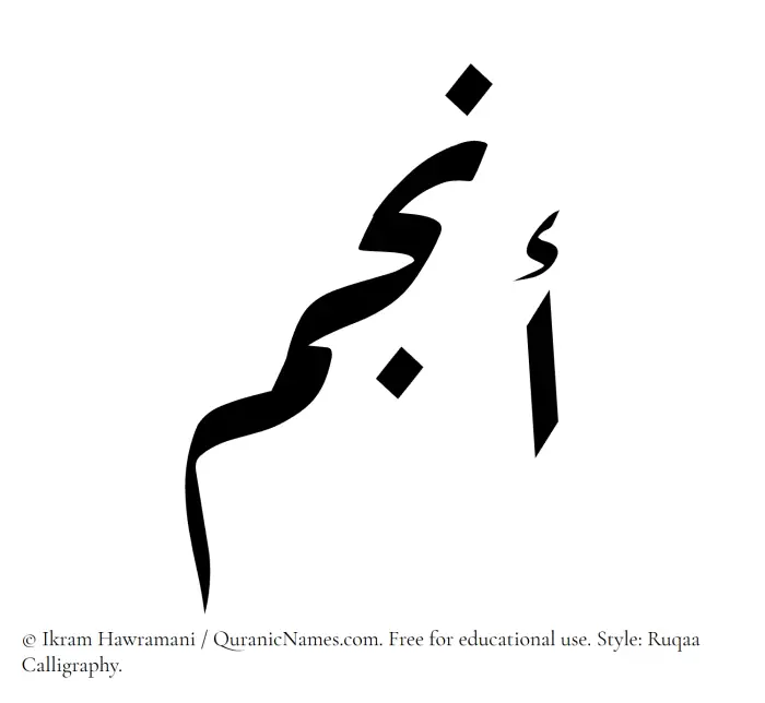 The Muslim name Anjum written in Ruqaa calligraphic script