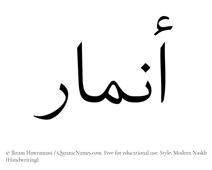 The Muslim name Anmar written in naskh script