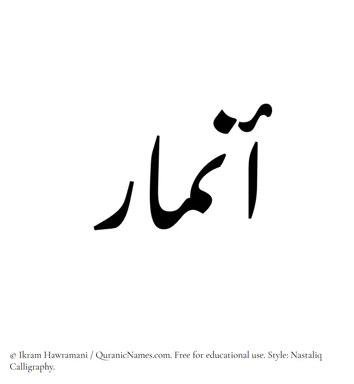 The Muslim name word Anmar written in Nastaliq calligraphic script