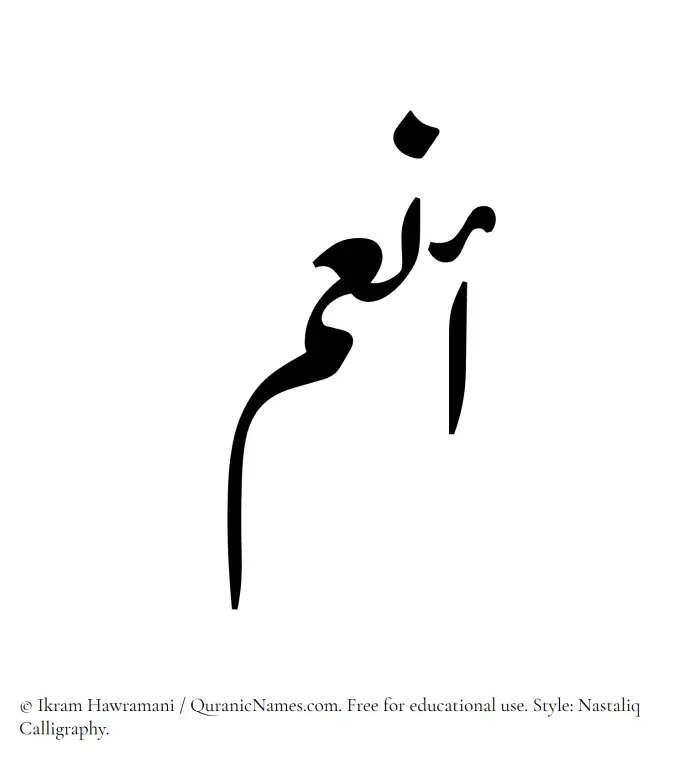The Muslim name word Anum written in Nastaliq calligraphic script