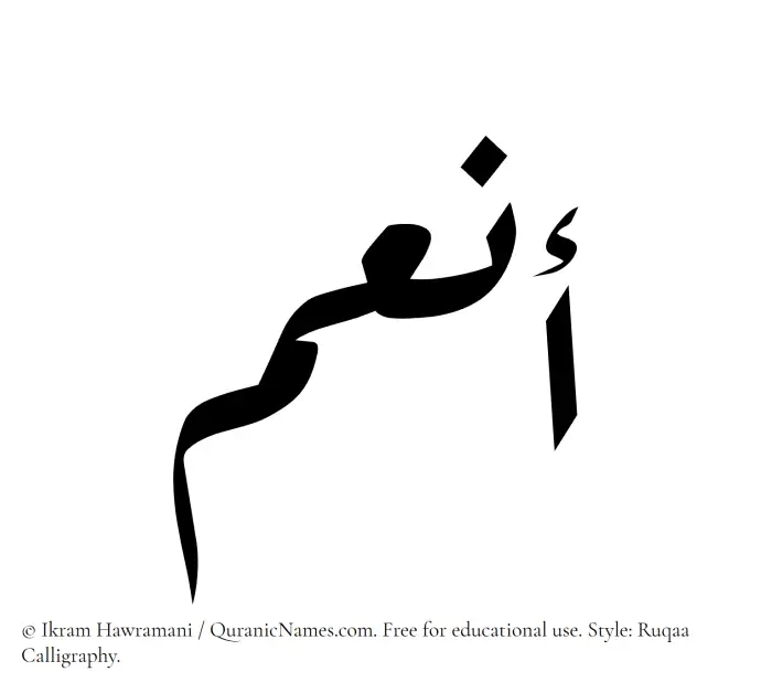 The Muslim name Anum written in Ruqaa calligraphic script