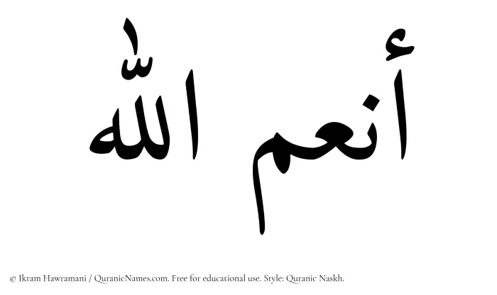 The Muslim name Anumullah written in Quranic naskh script