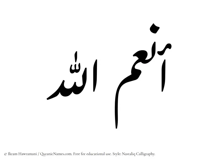 The Muslim name word Anumullah written in Nastaliq calligraphic script