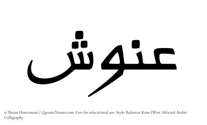 The Muslim name Anush written in Rubutun Kano calligraphic script
