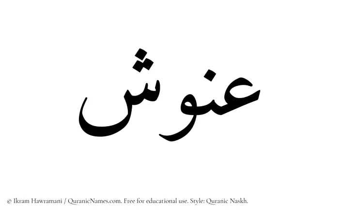 The Muslim name Anush written in Quranic naskh script