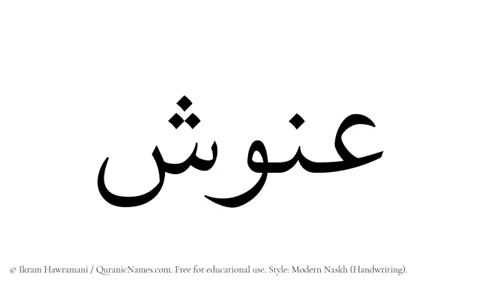 The Muslim name Anush written in naskh script