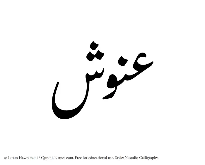 The Muslim name word Anush written in Nastaliq calligraphic script