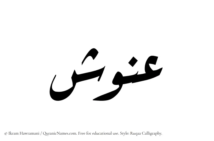 The Muslim name Anush written in Ruqaa calligraphic script