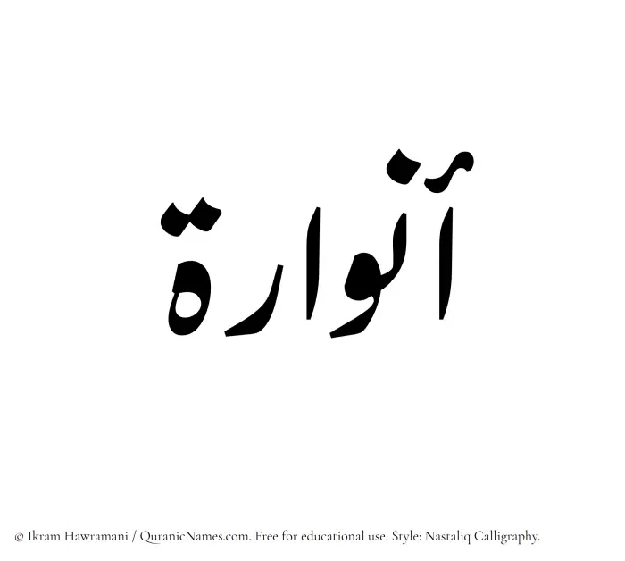 The Muslim name word Anwara written in Nastaliq calligraphic script