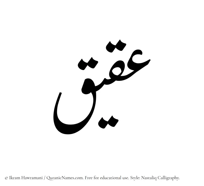 The Muslim name word Aqiq written in Nastaliq calligraphic script