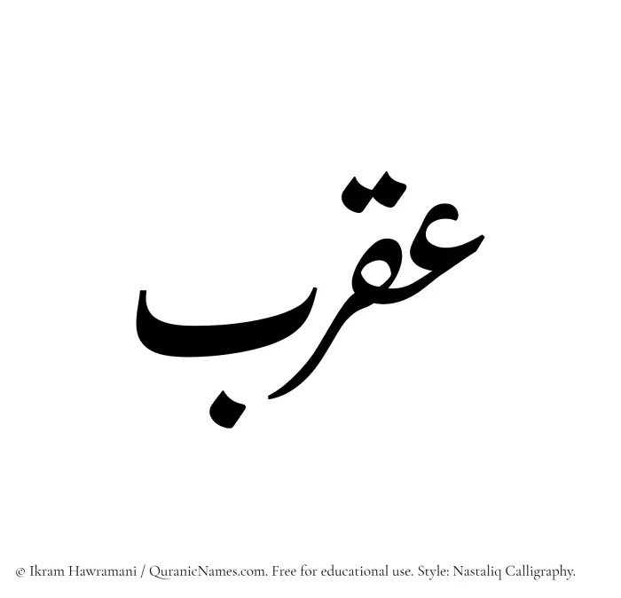 The Muslim name word Aqrab written in Nastaliq calligraphic script