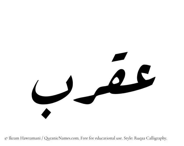 The Muslim name Aqrab written in Ruqaa calligraphic script