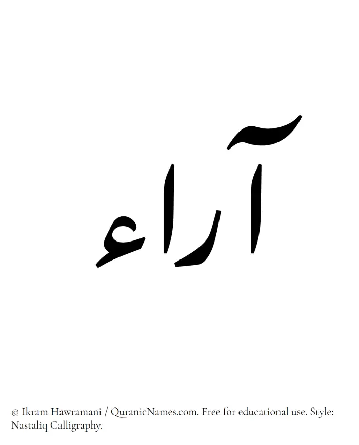 The Muslim name word Araa written in Nastaliq calligraphic script
