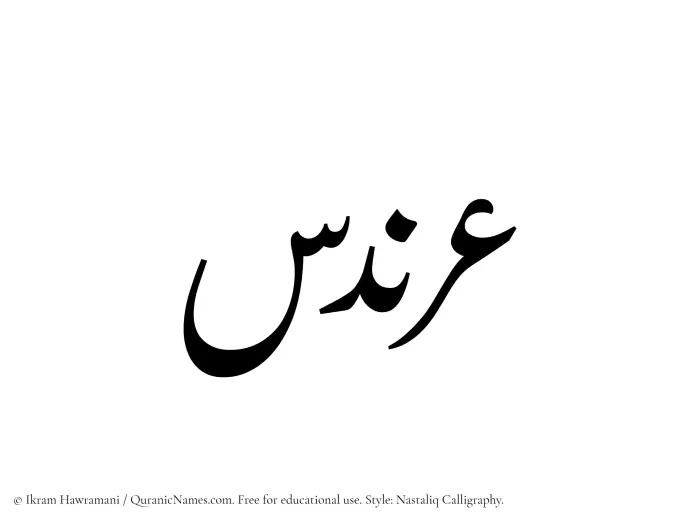 The Muslim name word Arandas written in Nastaliq calligraphic script