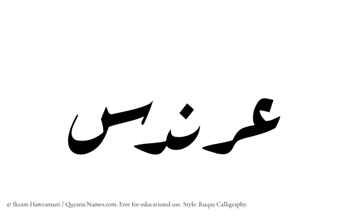 The Muslim name Arandas written in Ruqaa calligraphic script