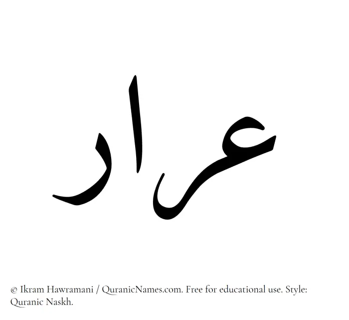 The Muslim name Arar written in Quranic naskh script