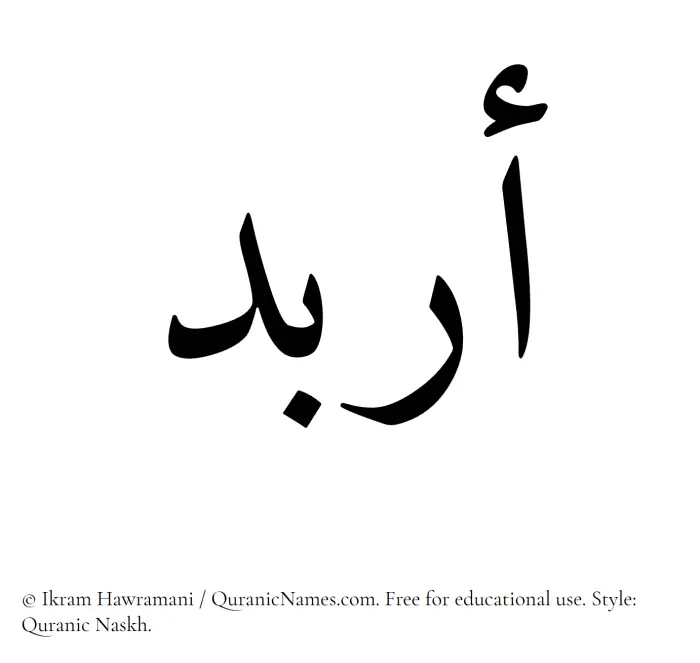 The Muslim name Arbad written in Quranic naskh script