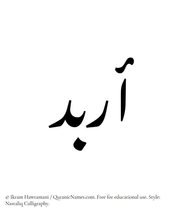 The Muslim name word Arbad written in Nastaliq calligraphic script