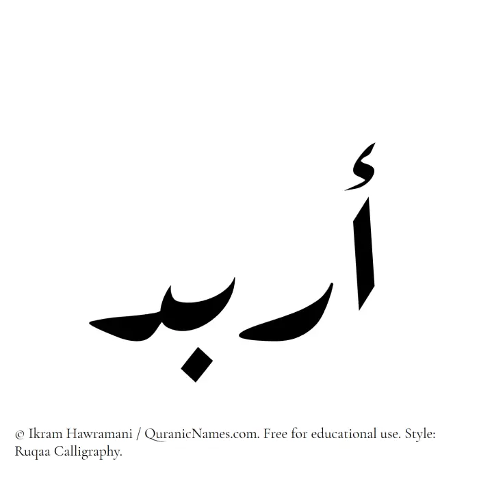 The Muslim name Arbad written in Ruqaa calligraphic script
