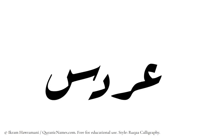 The Muslim name Ardas written in Ruqaa calligraphic script