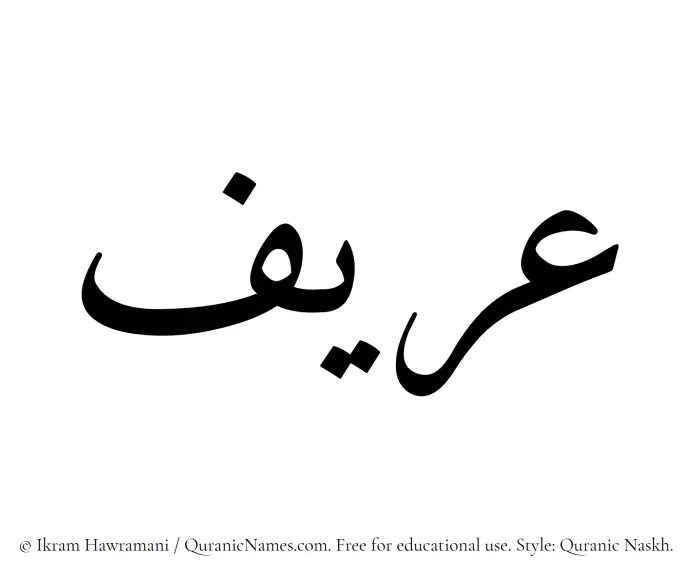 The Muslim name Areef written in Quranic naskh script