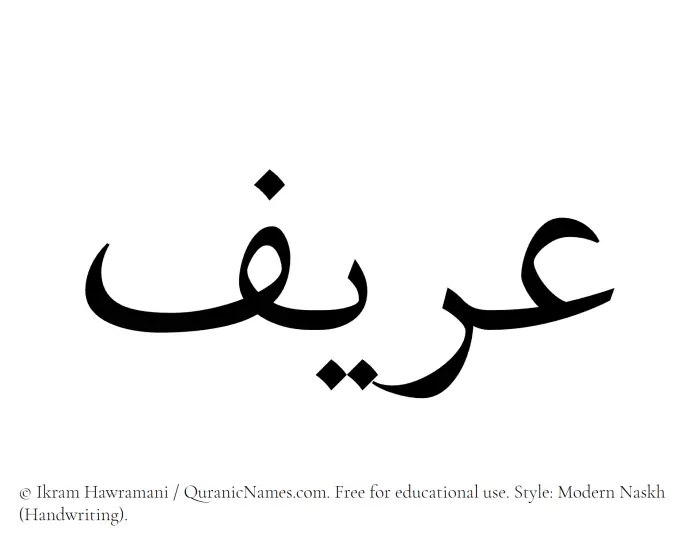 The Muslim name Areef written in naskh script