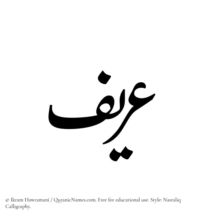 The Muslim name word Areef written in Nastaliq calligraphic script