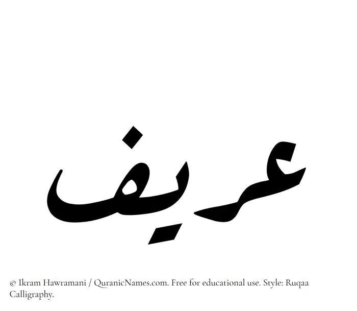 The Muslim name Areef written in Ruqaa calligraphic script